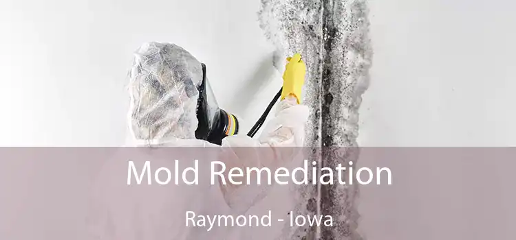 Mold Remediation Raymond - Iowa