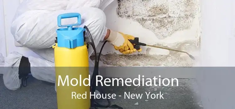 Mold Remediation Red House - New York
