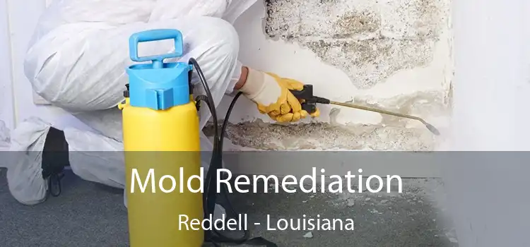 Mold Remediation Reddell - Louisiana