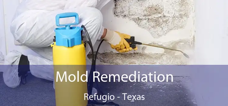 Mold Remediation Refugio - Texas