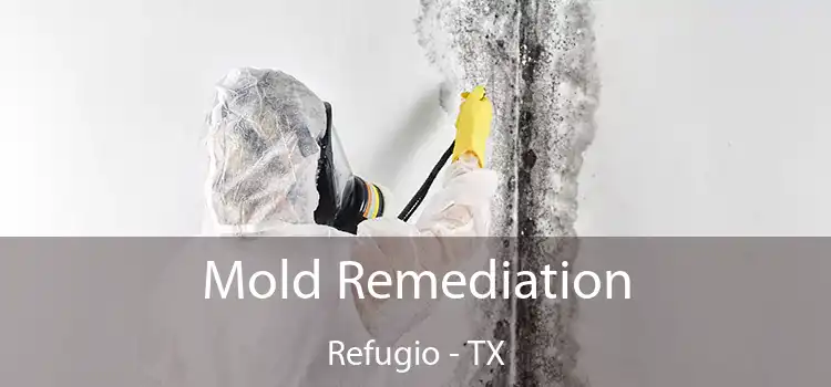 Mold Remediation Refugio - TX