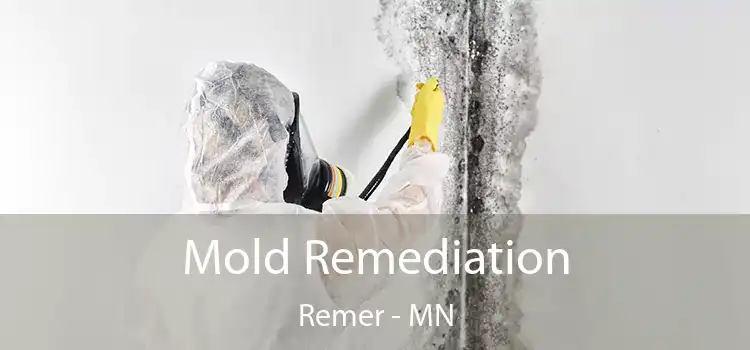 Mold Remediation Remer - MN