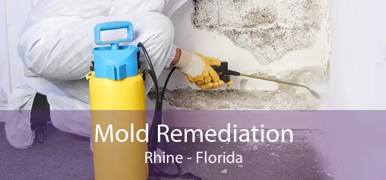 Mold Remediation Rhine - Florida