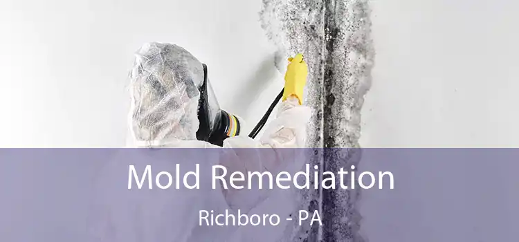 Mold Remediation Richboro - PA