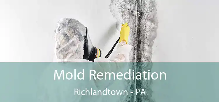 Mold Remediation Richlandtown - PA