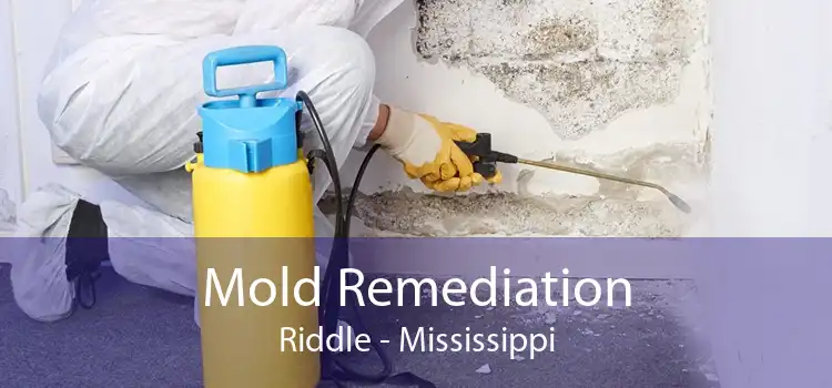 Mold Remediation Riddle - Mississippi
