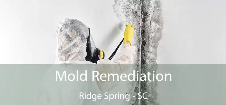 Mold Remediation Ridge Spring - SC