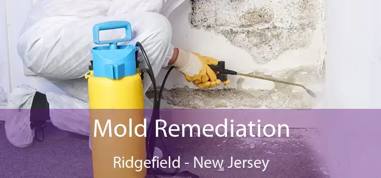 Mold Remediation Ridgefield - New Jersey