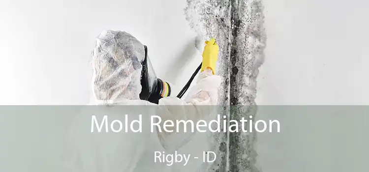 Mold Remediation Rigby - ID