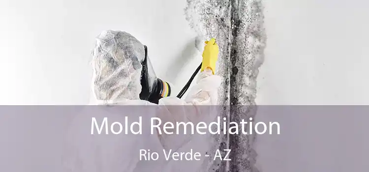 Mold Remediation Rio Verde - AZ