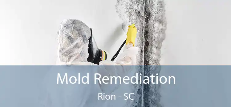 Mold Remediation Rion - SC