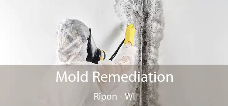 Mold Remediation Ripon - WI