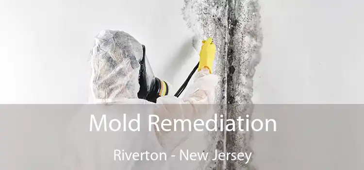 Mold Remediation Riverton - New Jersey