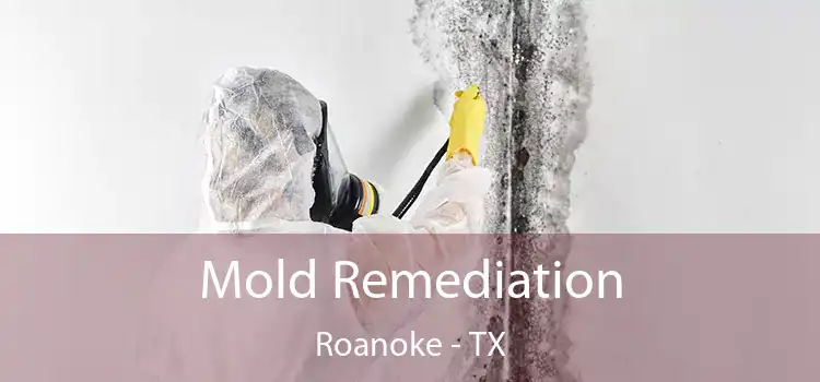 Mold Remediation Roanoke - TX