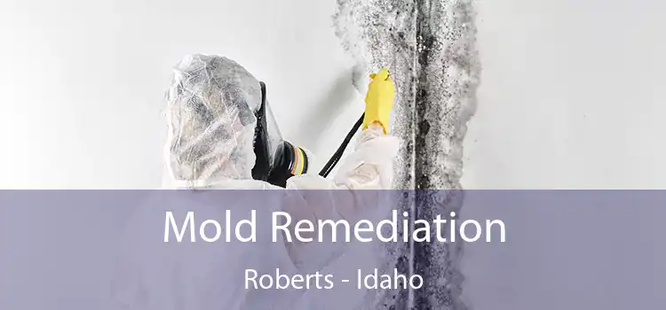 Mold Remediation Roberts - Idaho