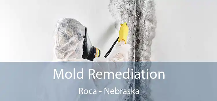 Mold Remediation Roca - Nebraska