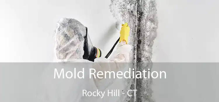 Mold Remediation Rocky Hill - CT