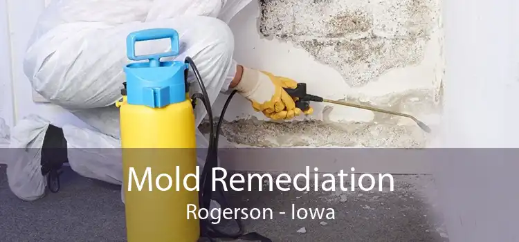 Mold Remediation Rogerson - Iowa