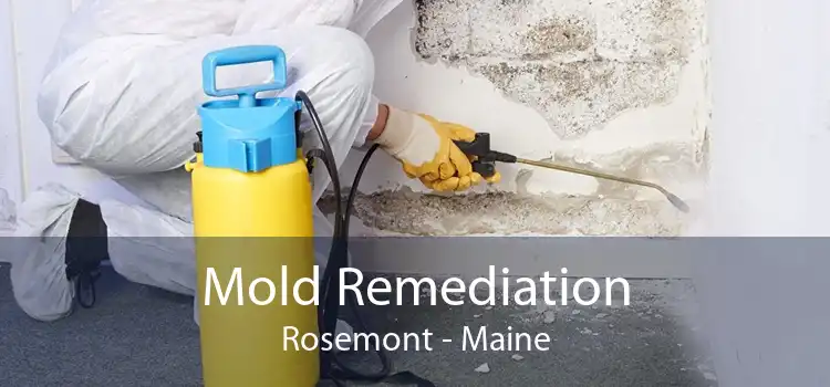 Mold Remediation Rosemont - Maine