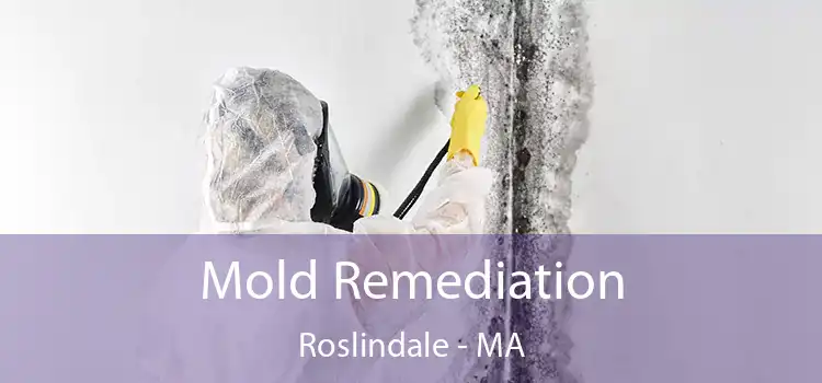 Mold Remediation Roslindale - MA