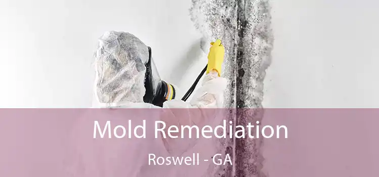 Mold Remediation Roswell - GA