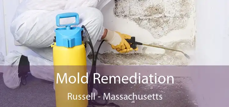 Mold Remediation Russell - Massachusetts