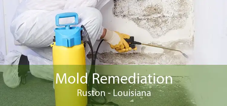 Mold Remediation Ruston - Louisiana