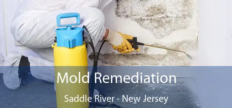 Mold Remediation Saddle River - New Jersey