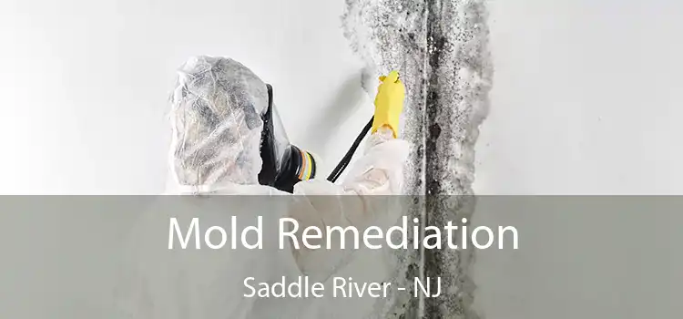 Mold Remediation Saddle River - NJ