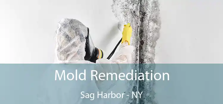 Mold Remediation Sag Harbor - NY