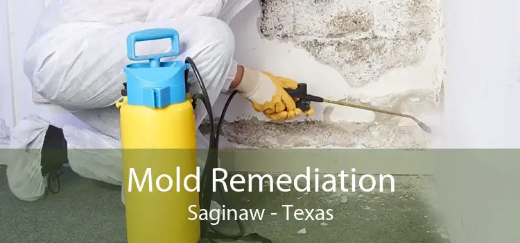 Mold Remediation Saginaw - Texas