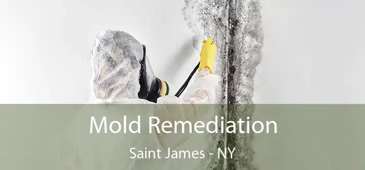 Mold Remediation Saint James - NY