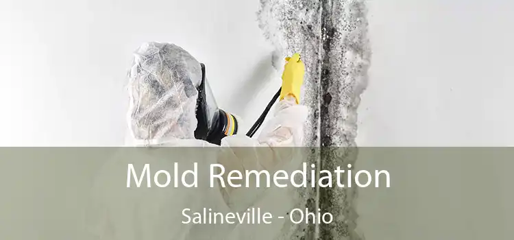 Mold Remediation Salineville - Ohio