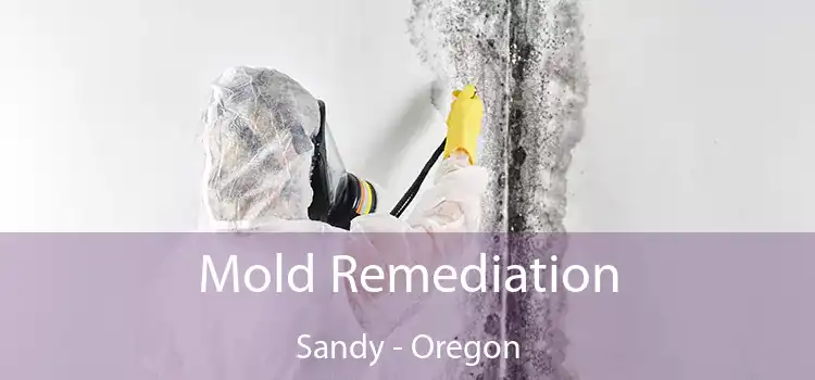 Mold Remediation Sandy - Oregon