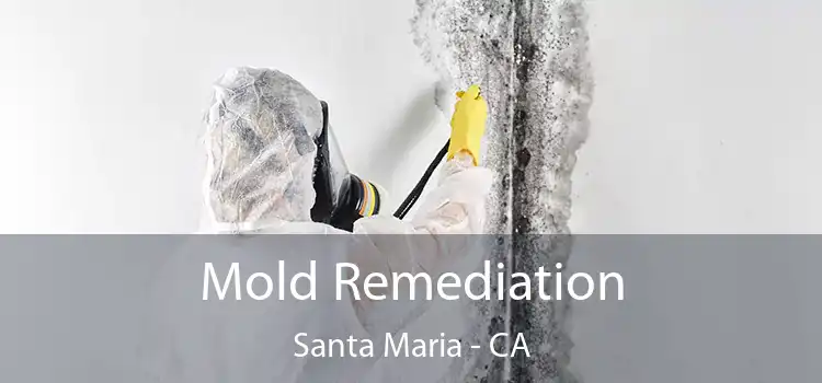 Mold Remediation Santa Maria - CA