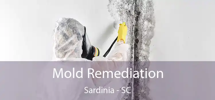 Mold Remediation Sardinia - SC