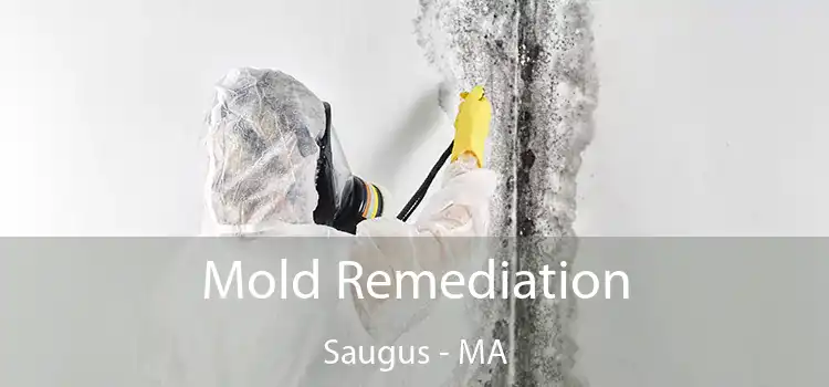 Mold Remediation Saugus - MA