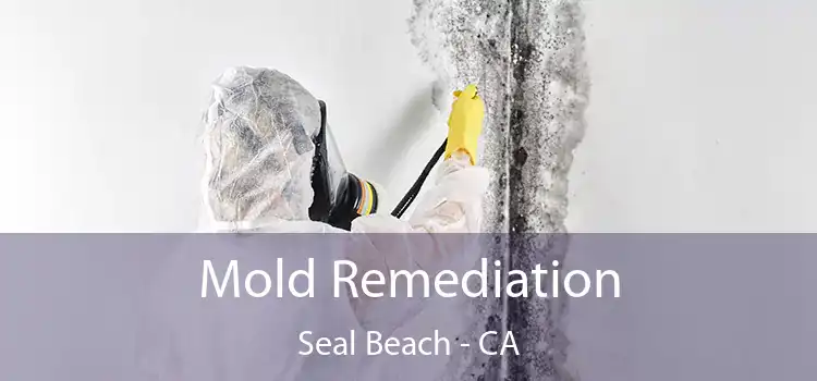 Mold Remediation Seal Beach - CA