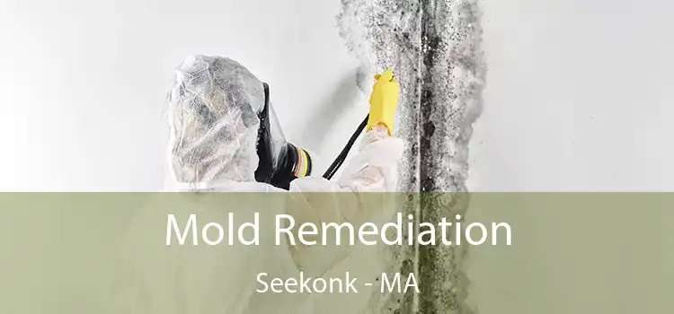 Mold Remediation Seekonk - MA