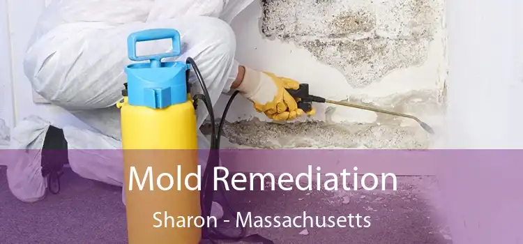 Mold Remediation Sharon - Massachusetts