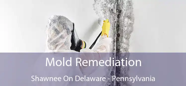 Mold Remediation Shawnee On Delaware - Pennsylvania