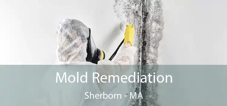 Mold Remediation Sherborn - MA