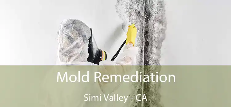 Mold Remediation Simi Valley - CA