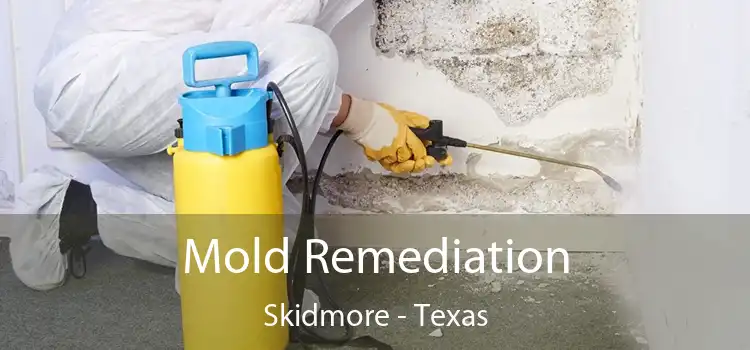 Mold Remediation Skidmore - Texas