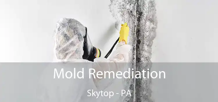 Mold Remediation Skytop - PA