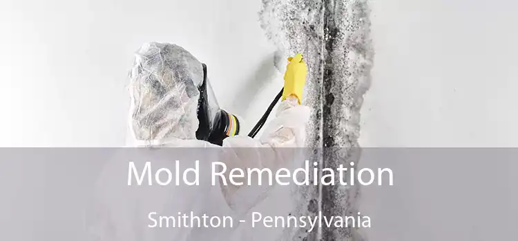 Mold Remediation Smithton - Pennsylvania