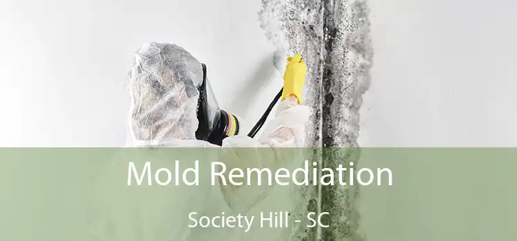 Mold Remediation Society Hill - SC