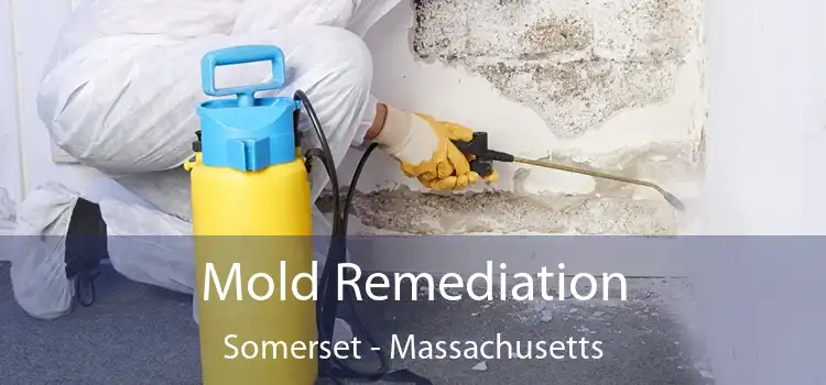 Mold Remediation Somerset - Massachusetts