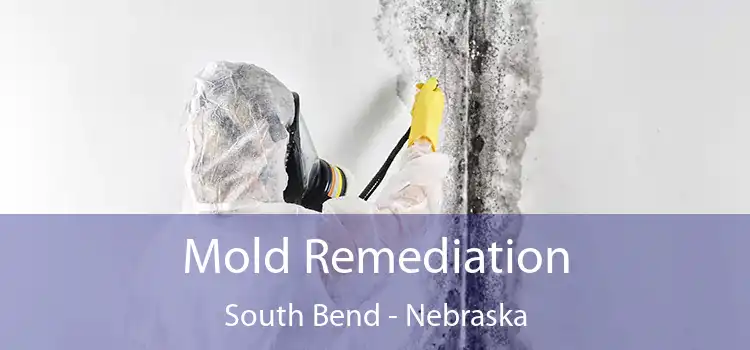 Mold Remediation South Bend - Nebraska