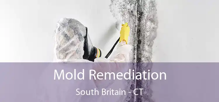 Mold Remediation South Britain - CT